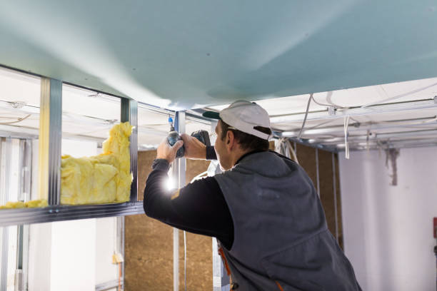 Best Eco-Friendly Insulation in Cedar Rapids, IA