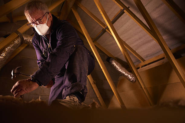 Best Geographic-Specific Insulation Services in Cedar Rapids, IA