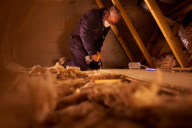 Best Cellulose Insulation in Cedar Rapids, IA